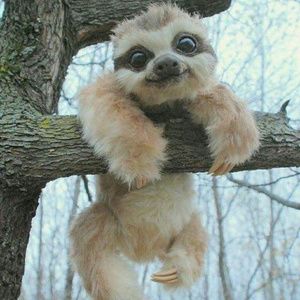 Meet your Posher, Brandy